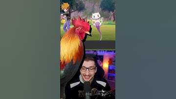 First To Catch A Shiny Legendary Pokemon Wins!