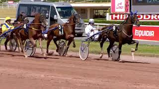 Vidéo de la course PMU PRIX DU ROULE