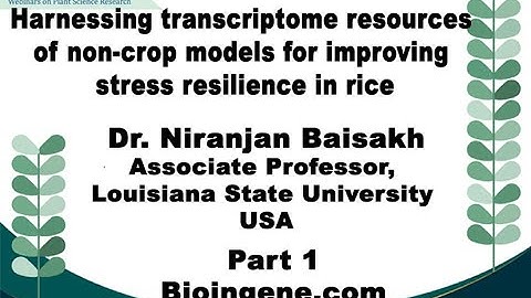 Bioingene.com Webinar on ... non-crop models for improving stress resilience in rice [Part 1 of 4]