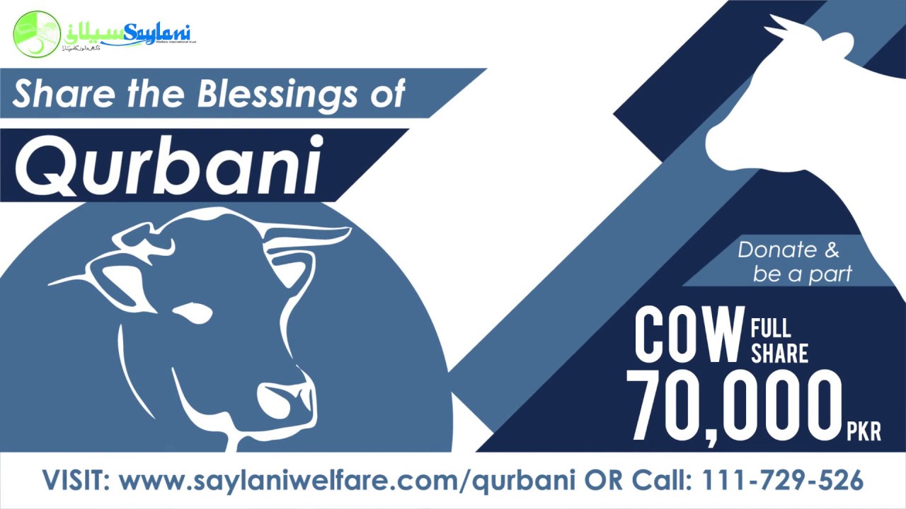 Qurbani Rates 2019 Donate And Be A Part Youtube Islam freedom qurbani team buy selected healthy animals including sheep, goat, cow and camel to perform qurbani on your behalf accordance with islamic sharia.