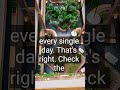 Daily Live Streams Daily Live Streams