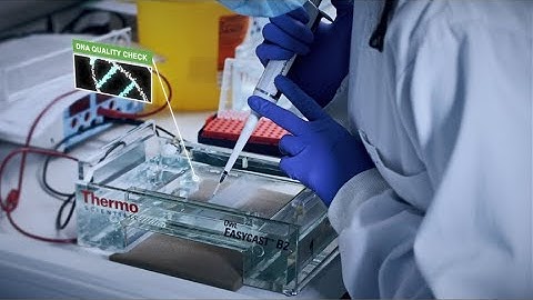 Novogene UK Sequencing Centre Introduction