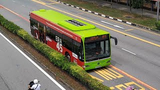 (ERA 45th Anniversary FBA) SG1024M(SEDEP 135) On Service 811 At Yishun Avenue 2