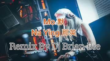 Mo - Na Ying  默 -  那英 (Electro Manyao) By Dj Brian Bie #manyaoremix #manyaodj #manyao #manyaomusic