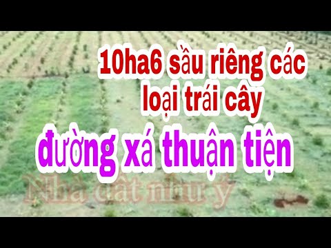Video #nhà đất gia lai# 10ha6 tại chư prông,gia lai sầu... - youtube