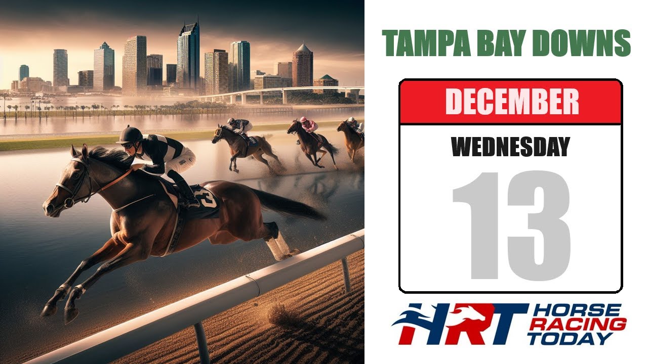 tampa-bay-downs-picks-live-stream-december-13-2023-horse-racing-today-youtube