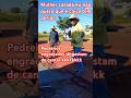 pedreiro engraçado canta mulher casada eu não quero kkkkk #shorts #humor #comedia #pedreiro #musica
