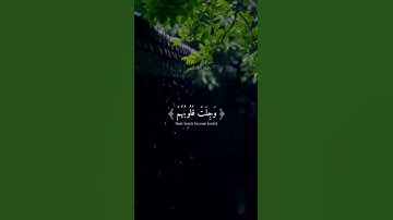 تلاوة رائعة للشيخ المنشاوي رحمه الله