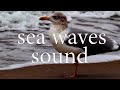 Waves | волны l чайки l для сна l screen saver | background | заставка | фон