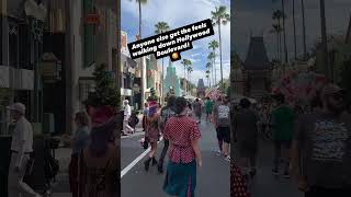 Disney Hollywood Studios feels #shorts
