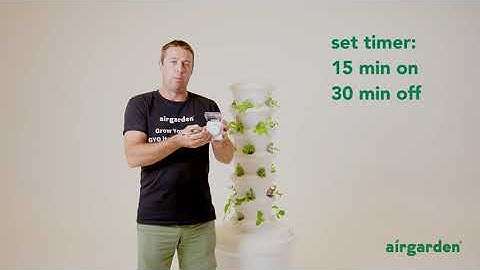 How to set up your timer