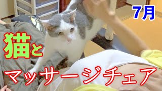 2020年＊猫とマッサージチェア【可愛い猫の多頭飼いに癒される】７月＜JAPAN＞