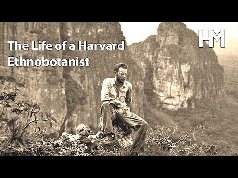 Videó: Mi a munkája egy etnobotanikusnak?