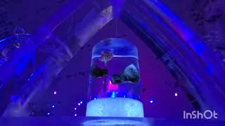 Aurora Ice Museum Chena Hot Springs
