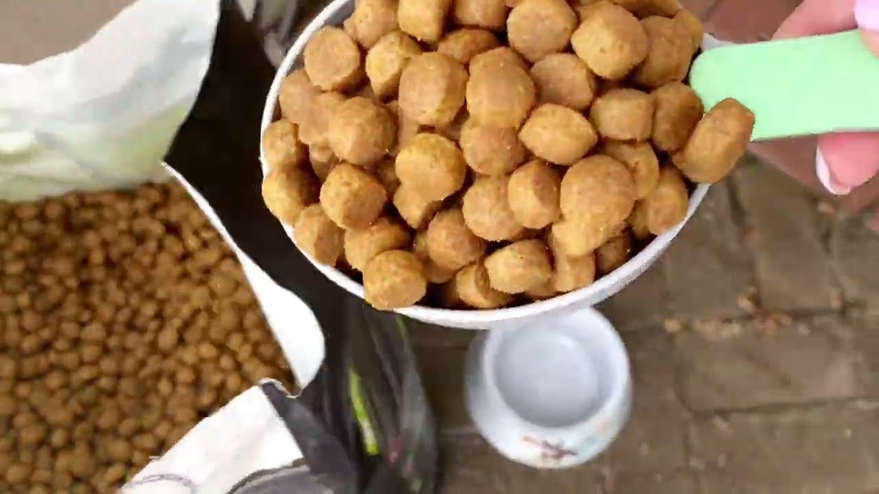 Корм для собак PROBALANCE "HYPOALLERGENIC"