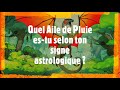 Quel aile de pluie estu selon ton signe astrologique 