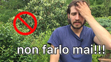 Quanto chiede un giardiniere?
