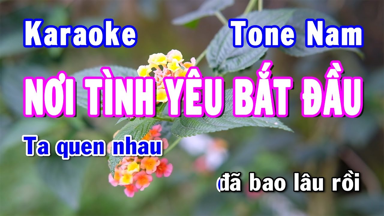 Karaoke Tóc em đuôi gà  Remix Hoàng Hải Dương Full Beat có bè  YouTube