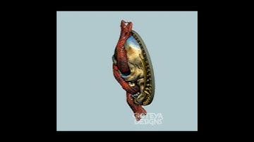 COD MW3 Vault #3dprint #3dprinting #codmw3 #cod #warzone #warzone2