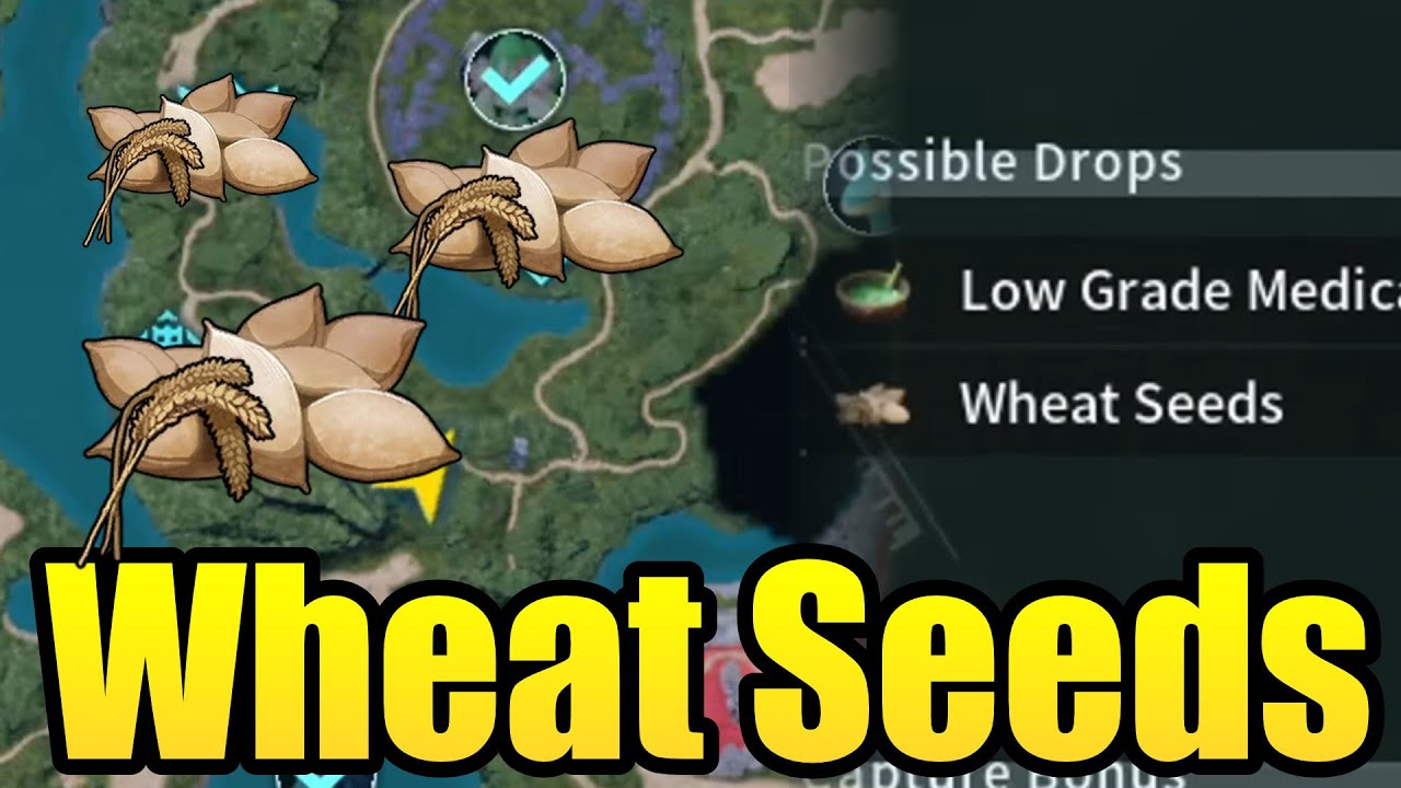 How to find wheat seeds! Palworld tips YouTube