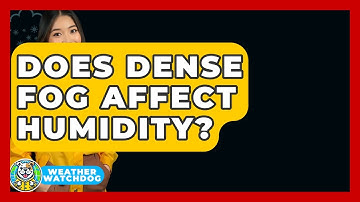Does Dense Fog Affect Humidity? - Weather Watchdog