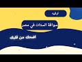 اضحك من قلبك سواقة الستات في مصر مواقف وطرائف القيادة