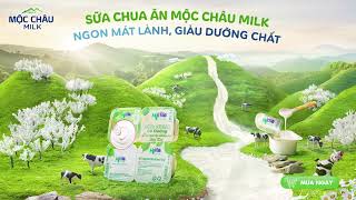 SỮA CHUA MỘC CHÂU MILK - MÁT LÀNH DƯỠNG CHẤT TỪ THIÊN ĐƯỜNG SỮA MỘC CHÂU