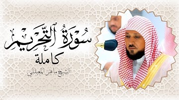 سورة التحريم الشيخ ماهر المعيقلي
