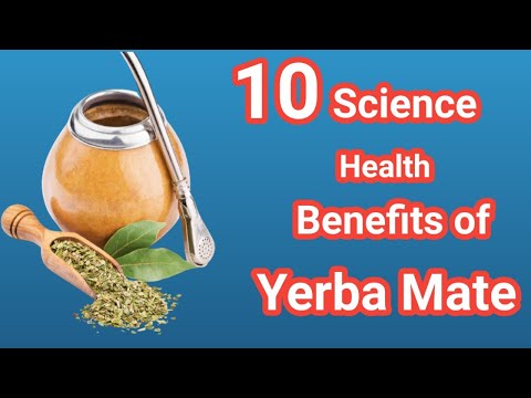 10 science backed health benefits of yerba mate | Sky world | Health TIps |  yerba mate tea