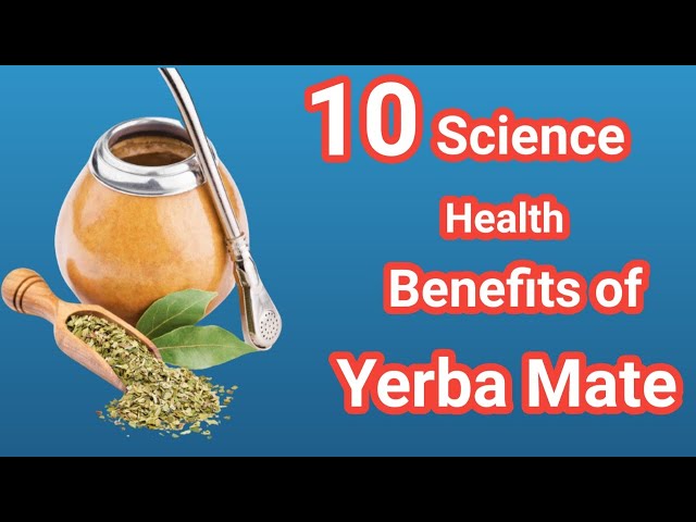 10 Health Benefits of Yerba Mate