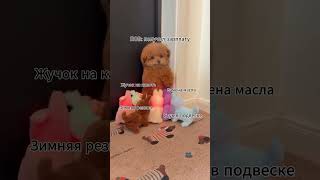 А на что вы тратите свою зарплату? #авто