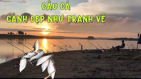 Săn cá thác lác sông ray || giao lưu cùng ông anh quá vui