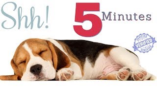 Sound To Make Your Dog Sleep within 5 Minutes  | Dog Hypnosis