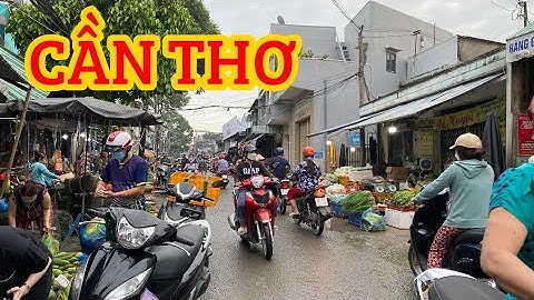 HỎI GIÁ ĐỂ VÔ CHỢ NỔI CÁI RĂNG TẠI BẾN NINH KIỀU TP CẦN THƠ🌺cần thơ ký sự