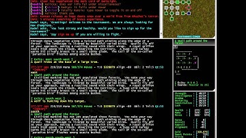 Questing and fighting underwater in Aardwolf MUD