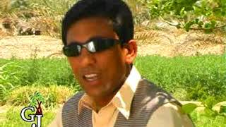 Lonta Gulab E Keech Ay Kapoot Vol 1 Gj Production