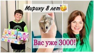 ВАС УЖЕ 3000! / МИРИКУ 8 ЛЕТ/ НОВОЕ ОКРУЖЕНИЕ