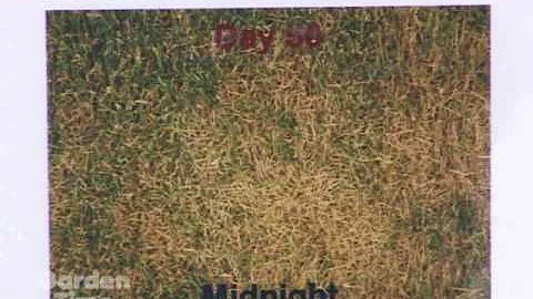 Grass Seed Testing