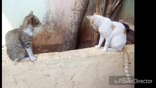 mobile recording comedy screenshot 3