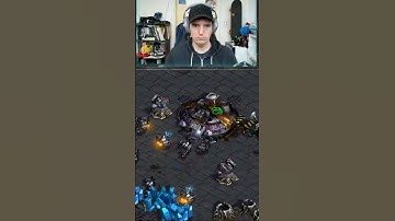only Terran players understand