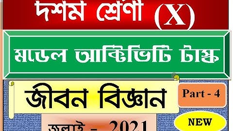 Model Activity Task class10 Life Science part 4/Class X Life Science  Activity task 2021 part 4