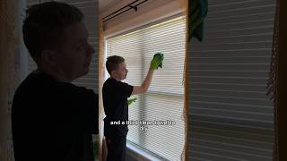 Clean Your BlInds Like A PRO | Day 23 Spring Cleaning Spree 2024 #cleaning #howto #wow #knowledge