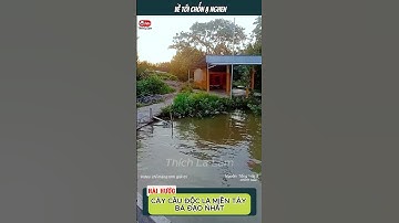 CÂY CẦU ĐỘC LẠ MIỀN TÂY BÁ ĐẠO NHẤT 😂🤔 | #thichlalam #mientay