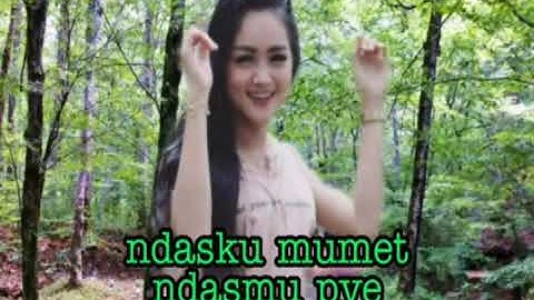 Safira Inema - Ndasku Mumet Ndasmu Piye (official musik).mp4