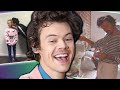 8 Lindos Momentos de Harry Styles con sus Fans: Cuida Perros, Embarra Cupcakes