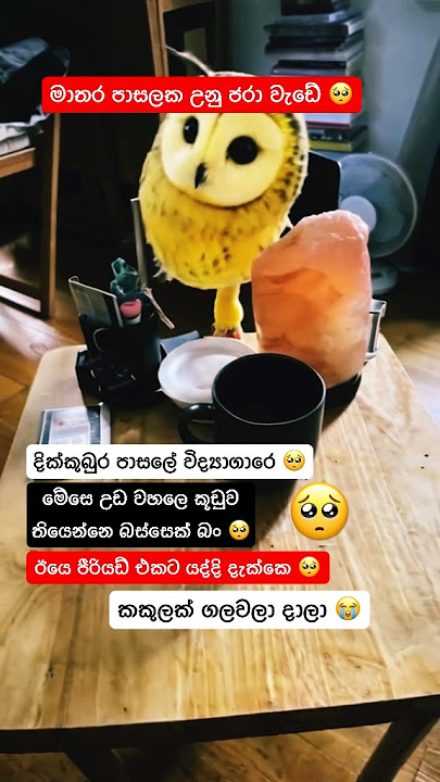 අනේ එයාගෙ කකුල තමයී ඒ ෆෑන් එක් ලගින් තියල තියෙන්නෙ ජරා මිනිස්සු බං ශික් මුං හැදෙන්නෑ 😭