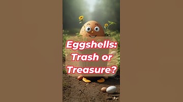 Eggshells Trash or Treasure