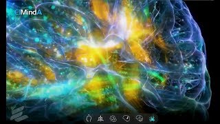 Emerging Technology Seeks to Unlock the Devastating Secrets of Brain Disorders
