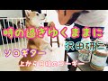 時の過ぎゆくままに / 沢田研二 ソロギター。上から目線のコーギー。