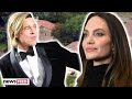 Brad Pitt SUES Angelina Jolie Over Vineyard Where They Got Married!